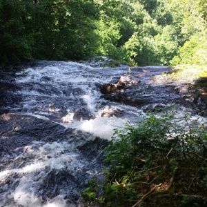 Meet your Posher, Kathleen